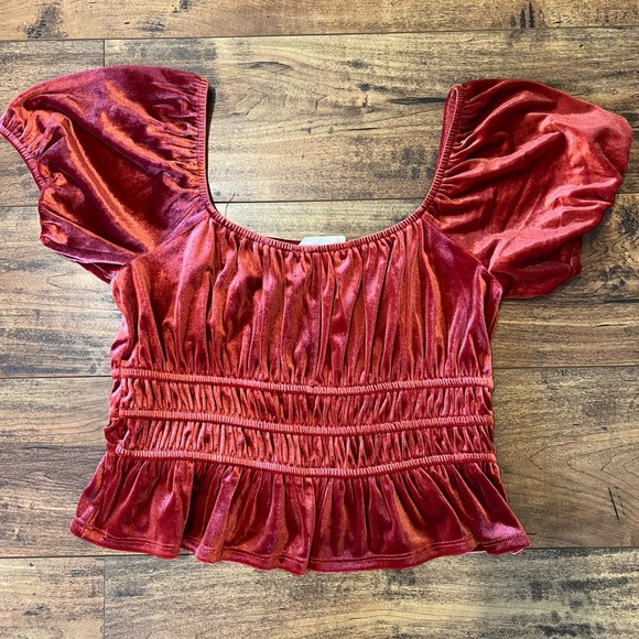 ALTAR’D STATE Rust Velvet Crop Top Size Medium EUC - Picture 4 of 5